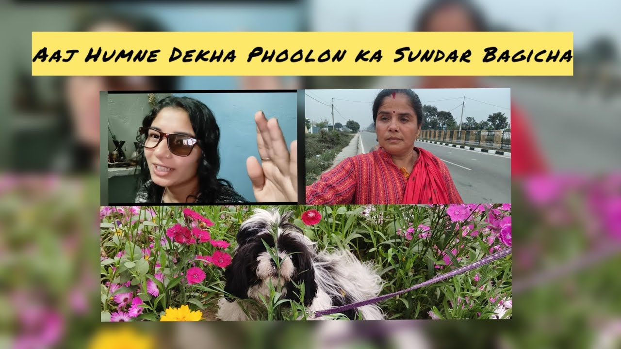 Bahut hi pyare aur Sundar phool dekhkar man khush ho gaya