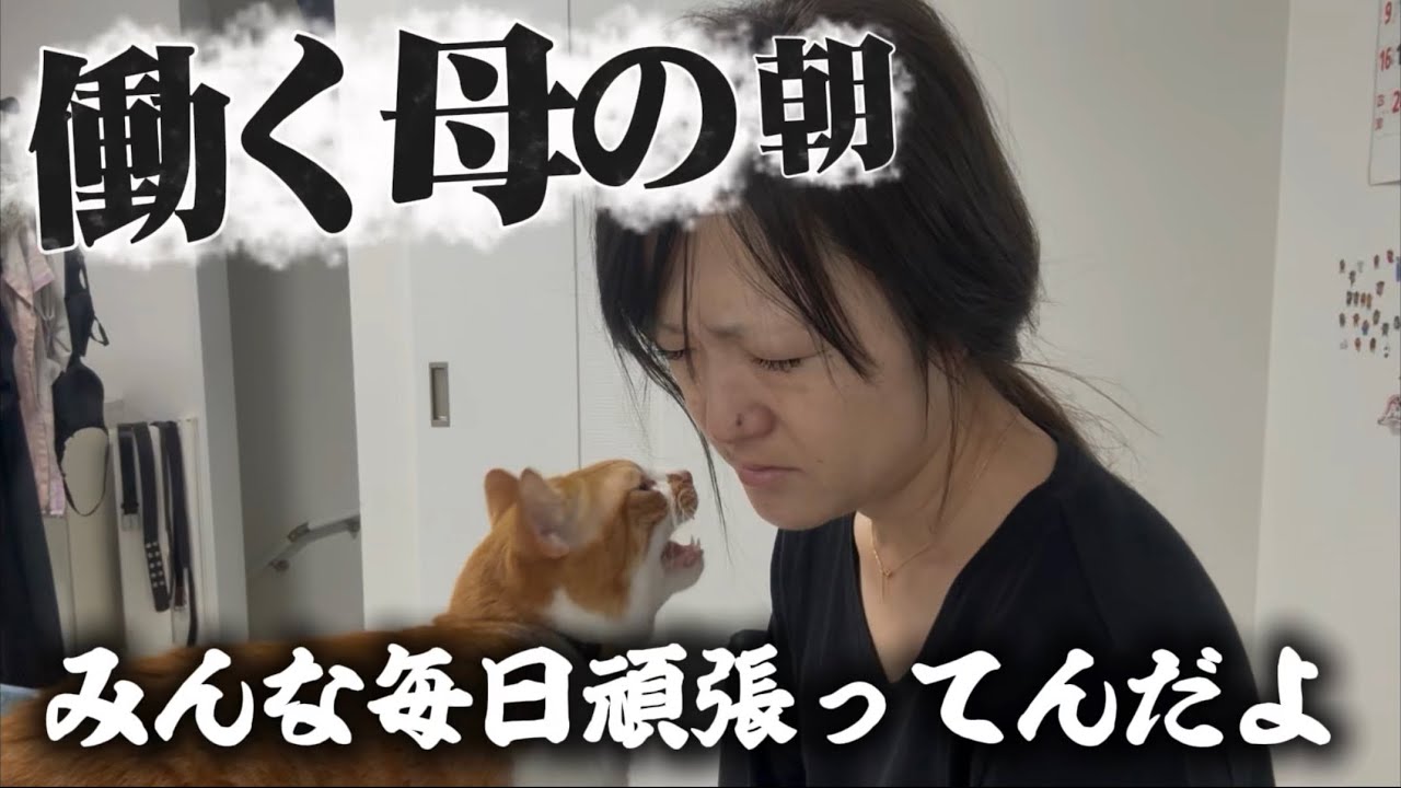 これがリアル。