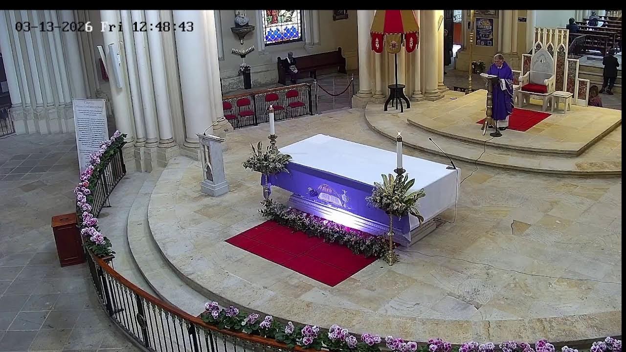 Transmisión Eucaristía Basílica de Lourdes   2024