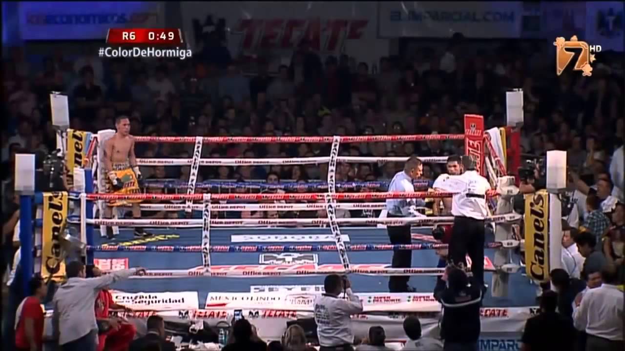Juan Francisco Estrada vs Joebert Alvarez full fight 06 12 2014