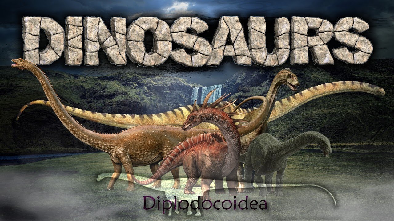 Dinosaurs II : Sauropods - Diplodocidae