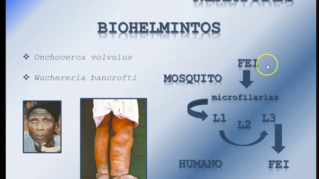 Introducción a la Parasitología III