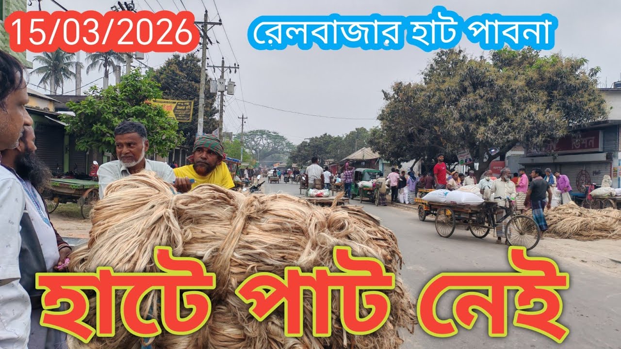 15 March 2026 আজকের পাটের বাজার দর। রেলবাজার হাট চাটমহর পাবনা থেকে। Jute market price rate today 