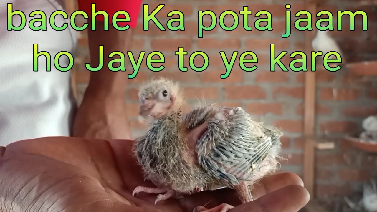 bacchon ke pota jaam ka ilaj