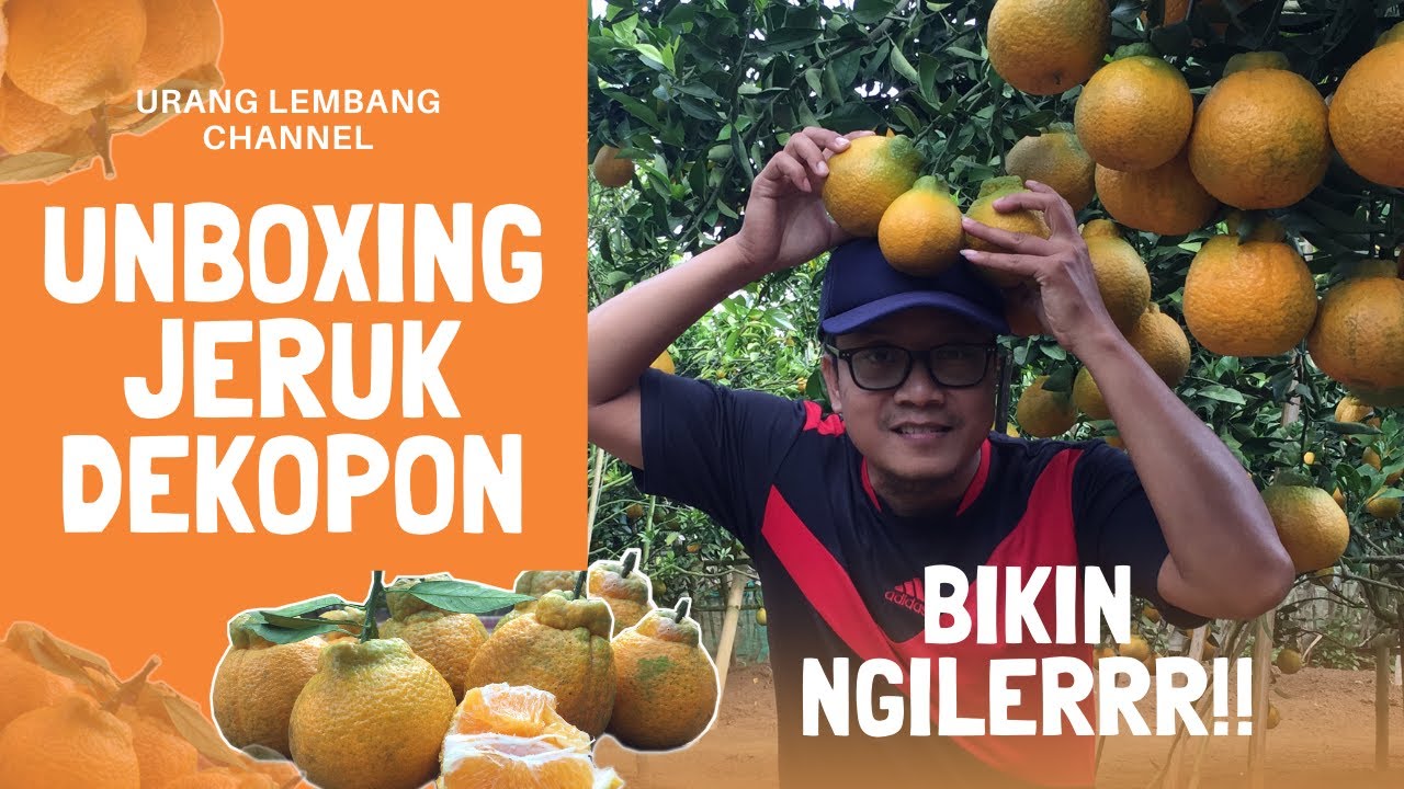 BIKIN NGILERRR!! UNBOXING JERUK DEKOPON!