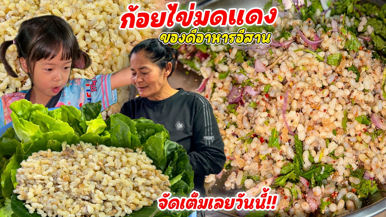 ทีเด็ด!! ก้อยไข่มดแดงจานใหญ่!! จัดเต็มเมนูชั้นสูง ไข่ใหญ่ๆ!! ปรุงสูตรพ่อน้อย เมนูฤดูกาลนี้!!