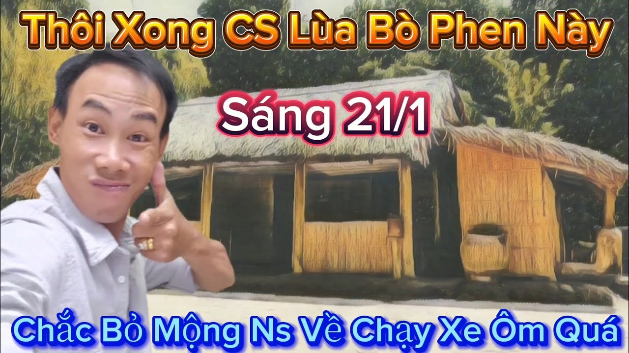 Sáng 21/1 Nóng Cs Lùa Bò Lên Báo Tập2 Làm Fan Cứng Khóc Thét