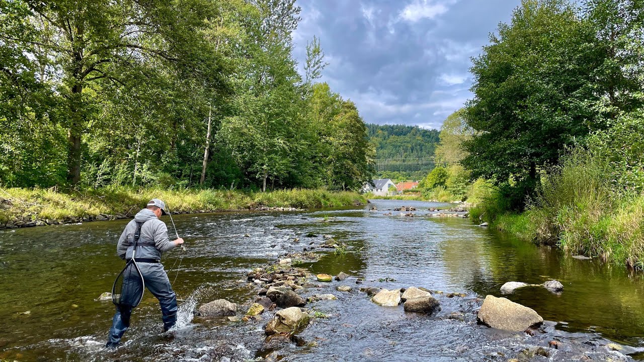 Fly Fishing in the Czech Republic