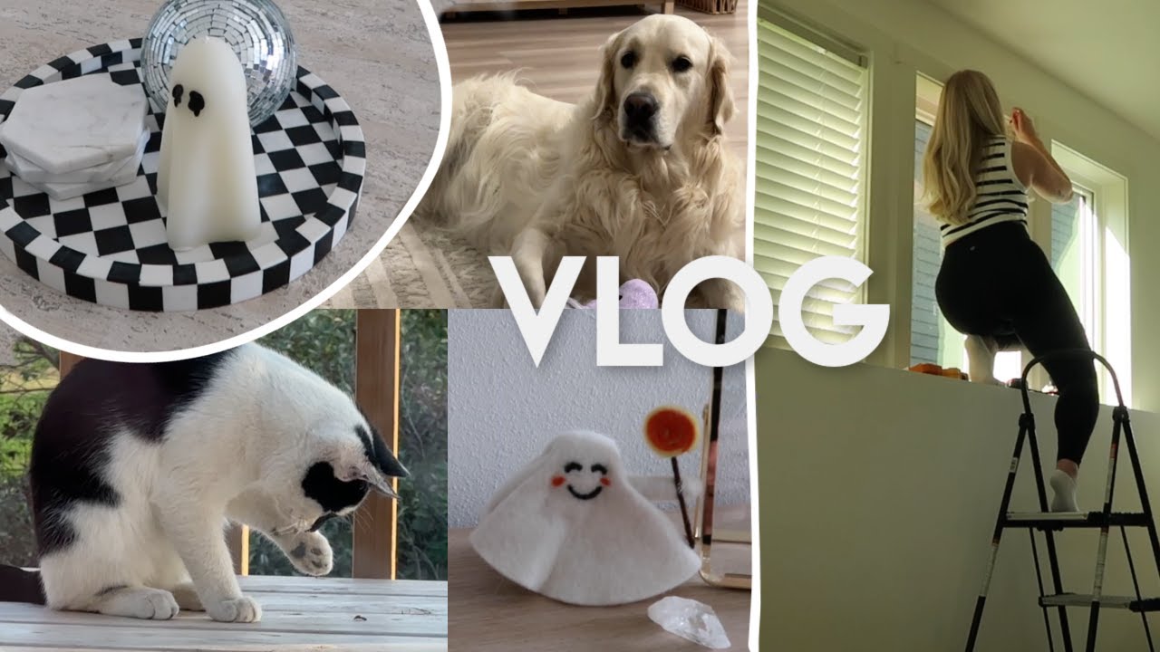 WEEKEND VLOG: Halloween decor tour, installing blinds, stew recipe