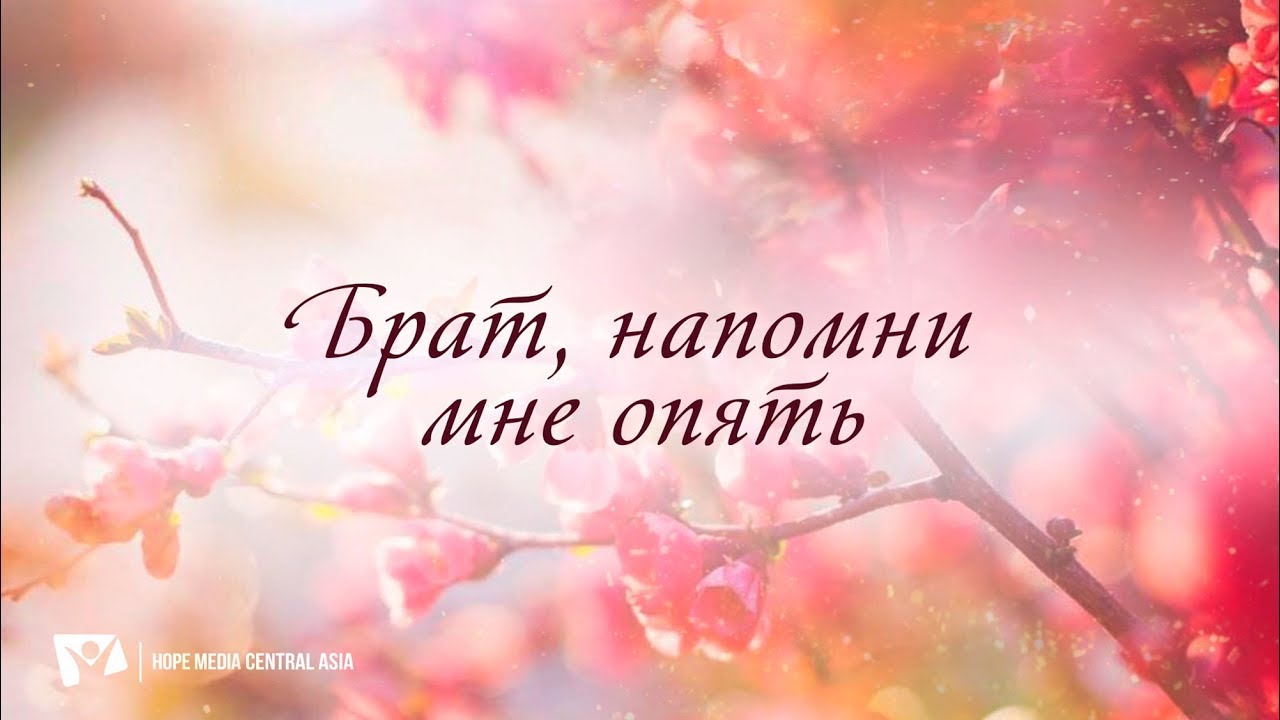 КАРАОКЕ – Брат, напомни мне опять
