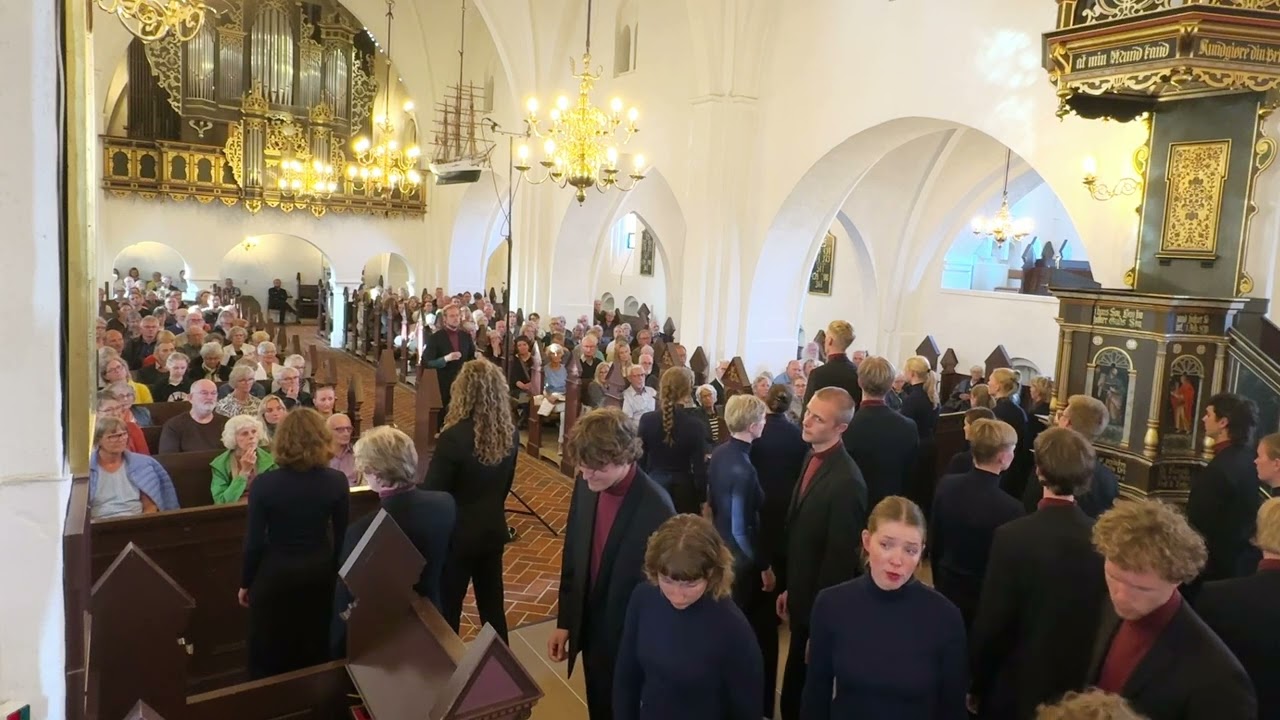 Aarhus U - Hurt  - Trent Reznor, Arr. Eric Whitacre, Dir. Jonas Rasmussen