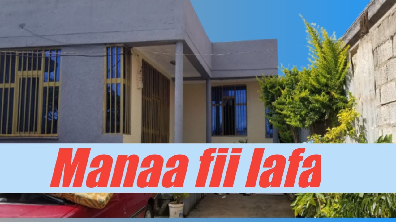 Manaa fii lafa gurgurtaa magalaa jimmaa