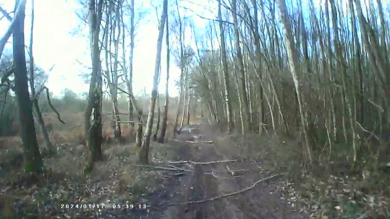 sniff that s41t offroading in woods on bike part 1