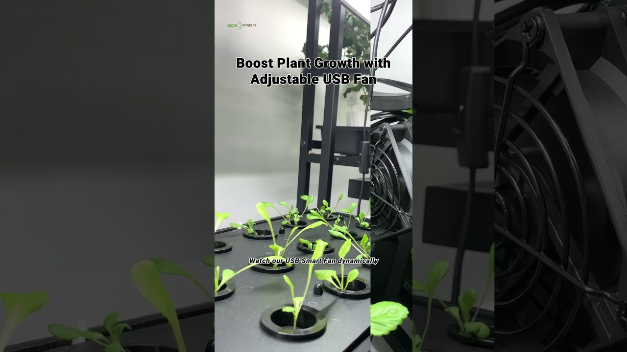 Transform Your Indoor Garden with Adjustable USB Fan