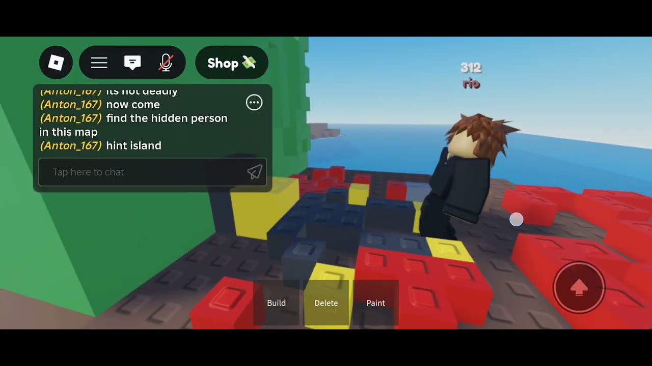 Rio vs 5 challenges for 60 robux!