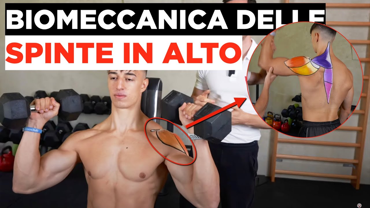 Biomeccanica delle SPINTE IN ALTO CON MANUBRI