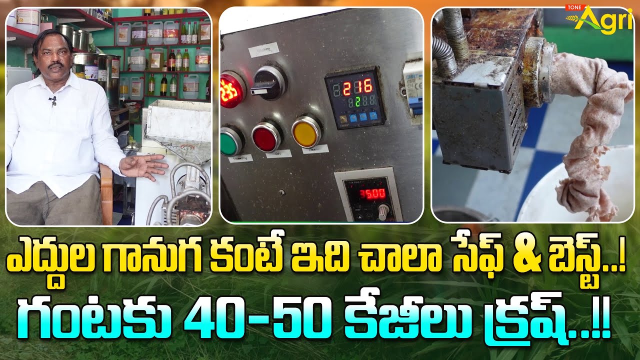 Cold Pressed Oil Machine | ఎద్దుల గానుగ కంటే ఇది చాలా సేఫ్ & బెస్ట్.. గంటకు 40-50 కేజీలు.. Tone Agri