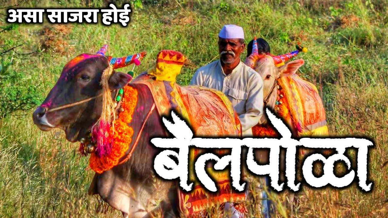 बैलपोळा | पूर्वी असा साजरा होई | Bailpola was celebrated like this before