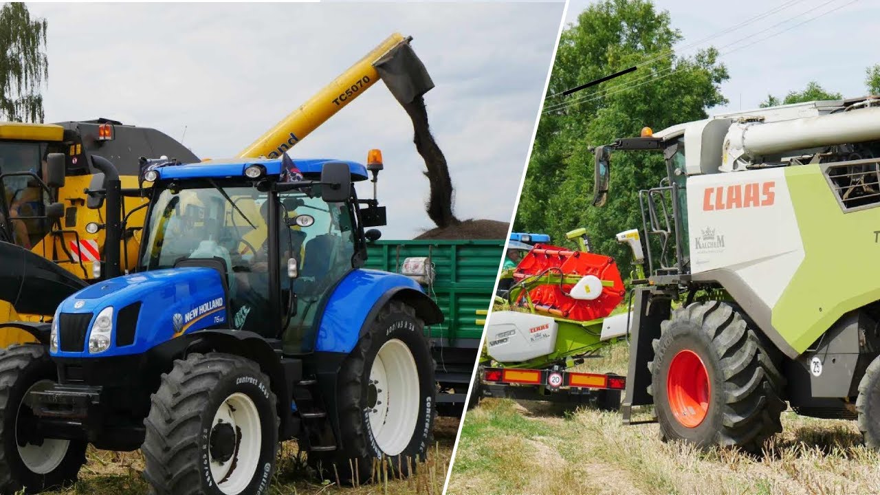 🔥ŻNIWA RZEPAKU Z CLAAS'Ą🔥I☆CLAAS TRION 520☆I☆NEW HOLLAND TC5070☆I [AgroMazowsze_Team]