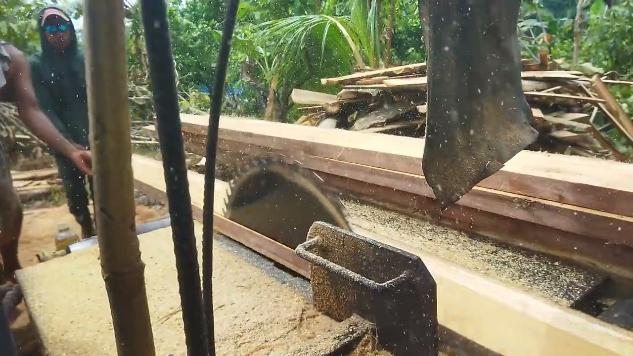 Gesek kayu waru buat kaso