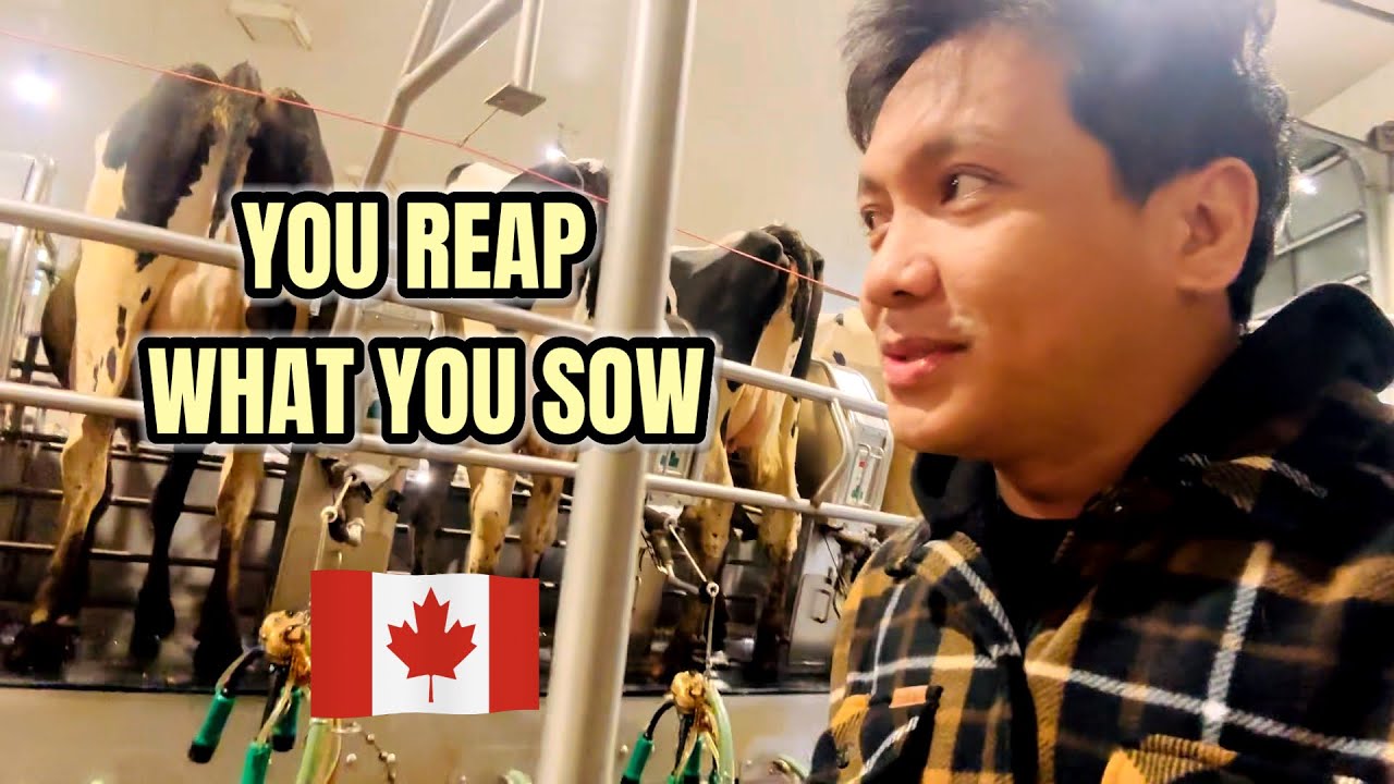 YOU REAP WHAT YOU SOW #canada  #highlights  #canadalife  #pinoy  #ofw 