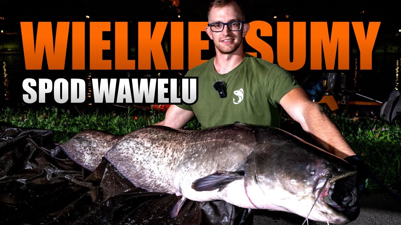 Sum Złamał Nam Wędkę 😲 | Wielkie Sumy Spod Wawelu z @KabatPawel