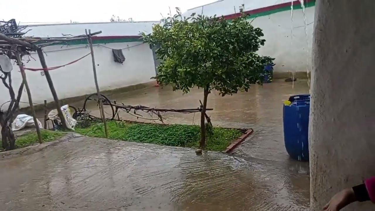 شتاء اليوم ما حبستش أجواء البادية وديتكم حتى الافران قولوا ما شاء الله