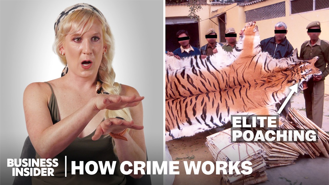 How The Wildlife Black Market Actually Works | How Crime Works | Insider