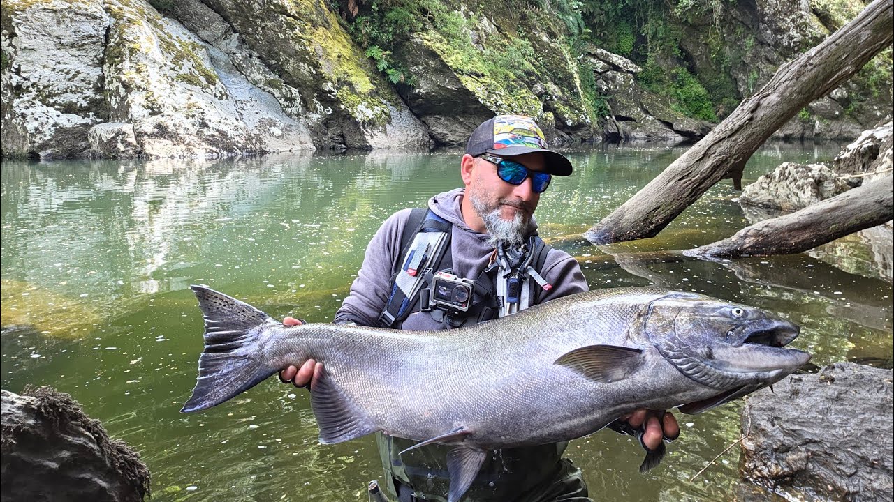 El retorno del rey, pesca del gran salm&oacute;n chinook  chilo&eacute; 🇨🇱  17 kg  de puro poder 💪💪