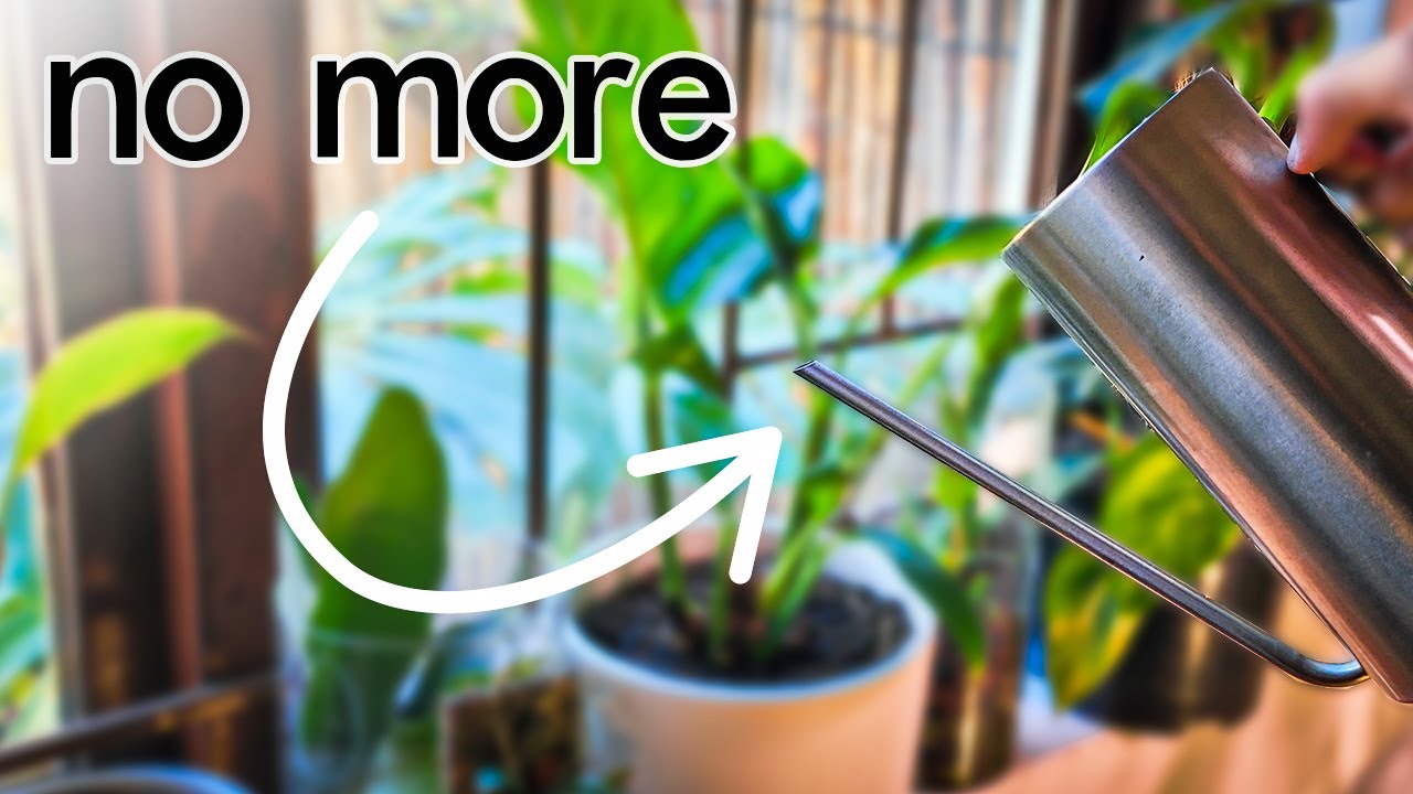 Change Your Watering Habits: How to Properly Water Your Indoor Plants