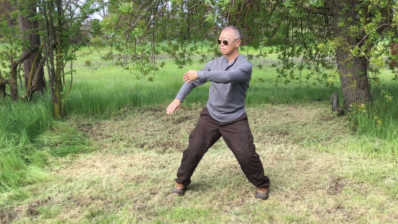 Inner Circle Tai Chi Daily Neigong