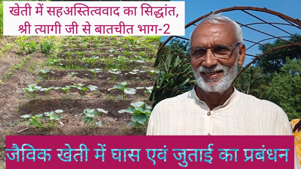 Managment of Ploughing & Weeds in OF || जैविक खेती में जुताई व घास के प्रबंधन के तरीके || 🌱🌳🌺☘️🌹🌾🌱