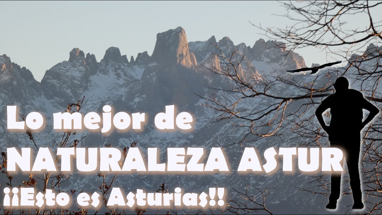 Lo mejor de Naturaleza Astur. Las mejores imágenes. #asturias #trekking #rutasdeasturias #naturaleza