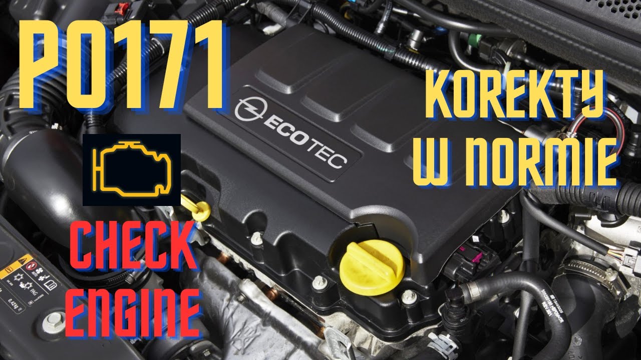 P0171 Korekty wróciły!  Czyszczenie kolektora pomogło!