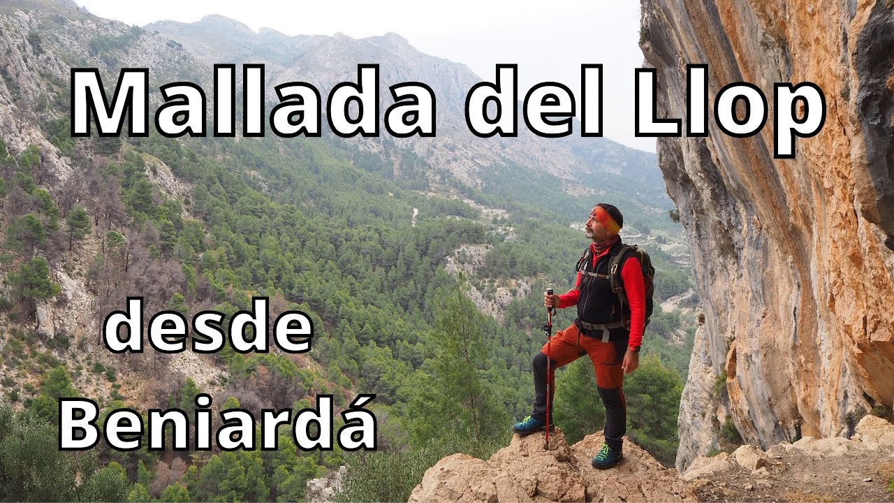 Ruta MALLADA DEL LLOP por el barranc de la Canal / SERRELLA - Senderismo Alicante