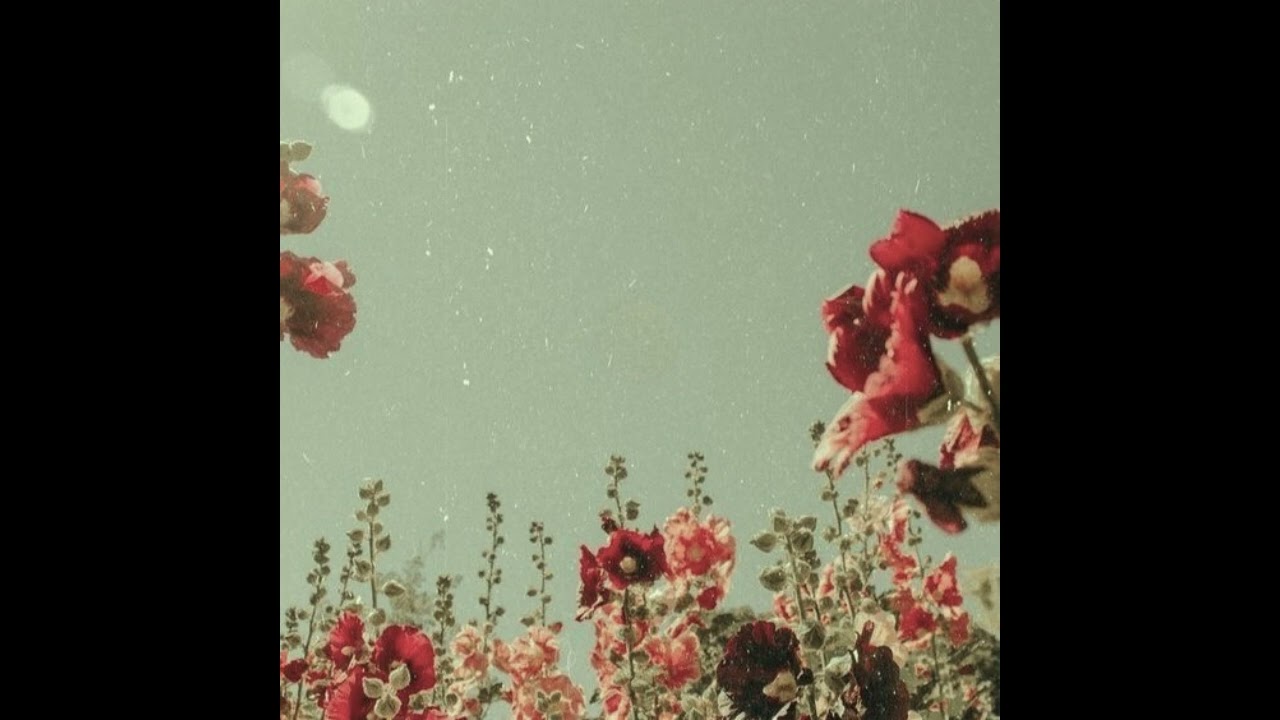[FREE] La Fève type beat ~ 