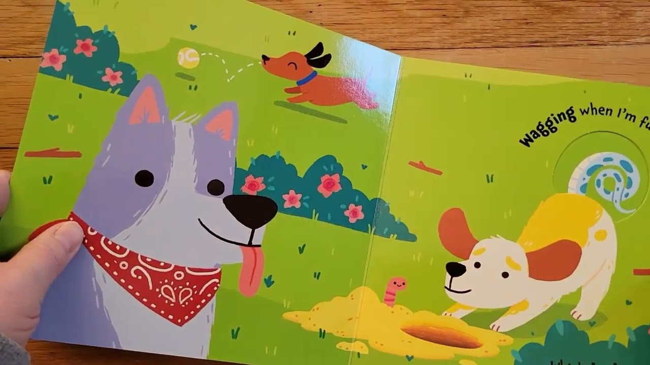 PaperPie 2024 January New Titles - Board Books