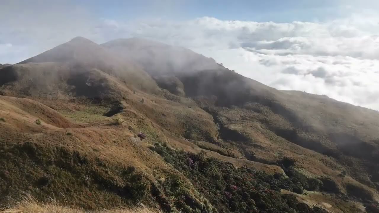 Mount Pulag Sea of Clouds