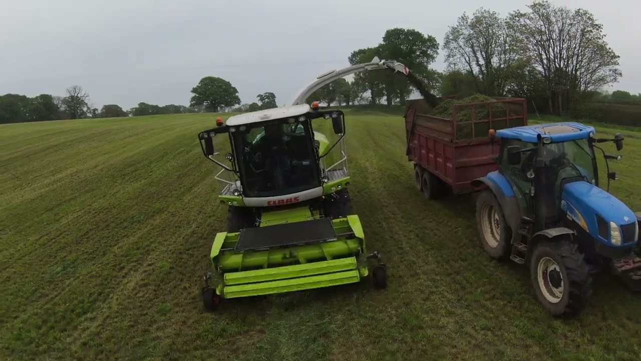 second cut silage 2022 6 of may