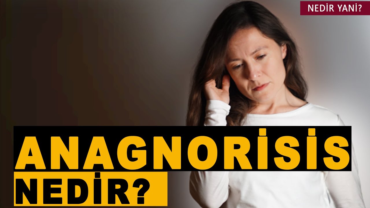 NEDİR YANİ? 2. B&Ouml;L&Uuml;M / ANAGNORISIS NEDİR?