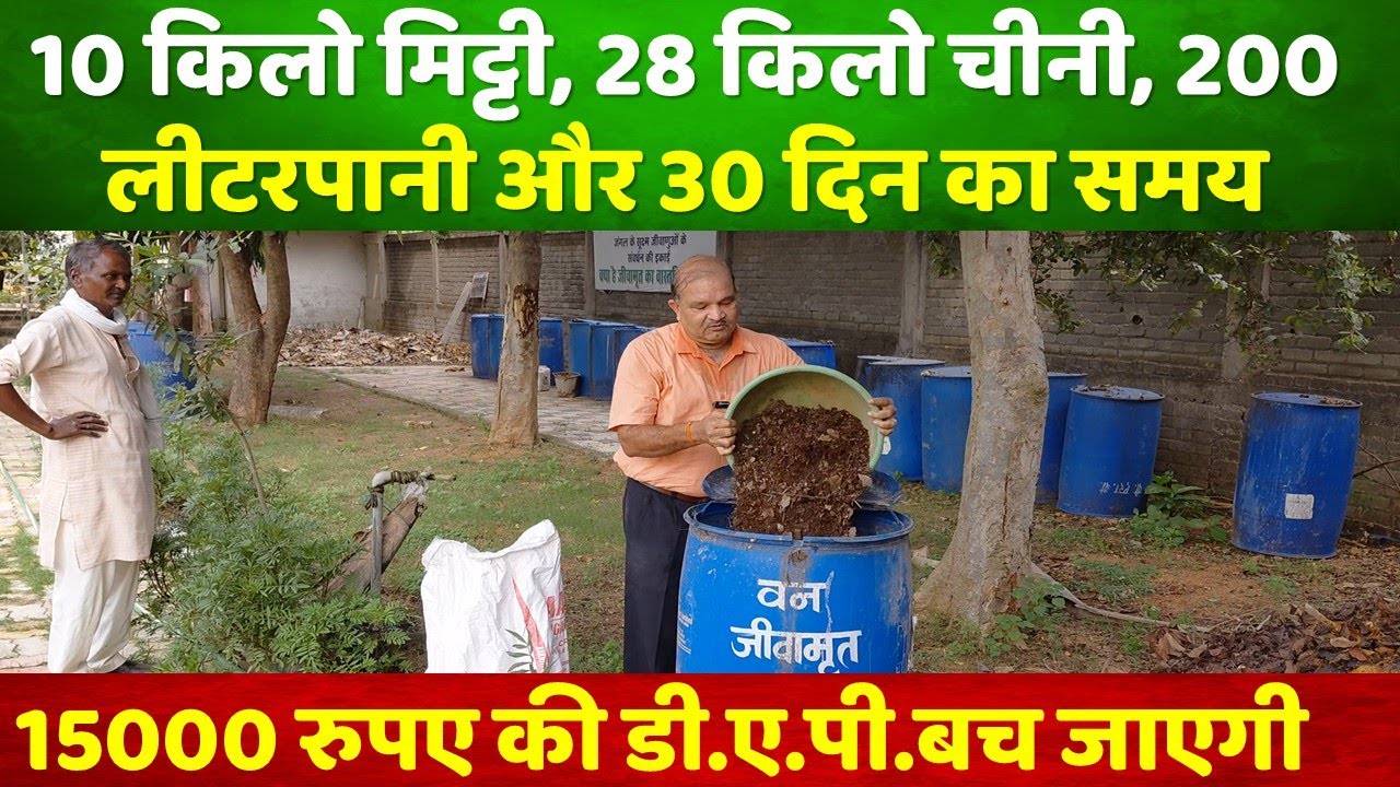 जंगल की मिट्टी और उर्वरक एवं फफूंद नाशक की छुट्टी, जानिए क्या है सच।