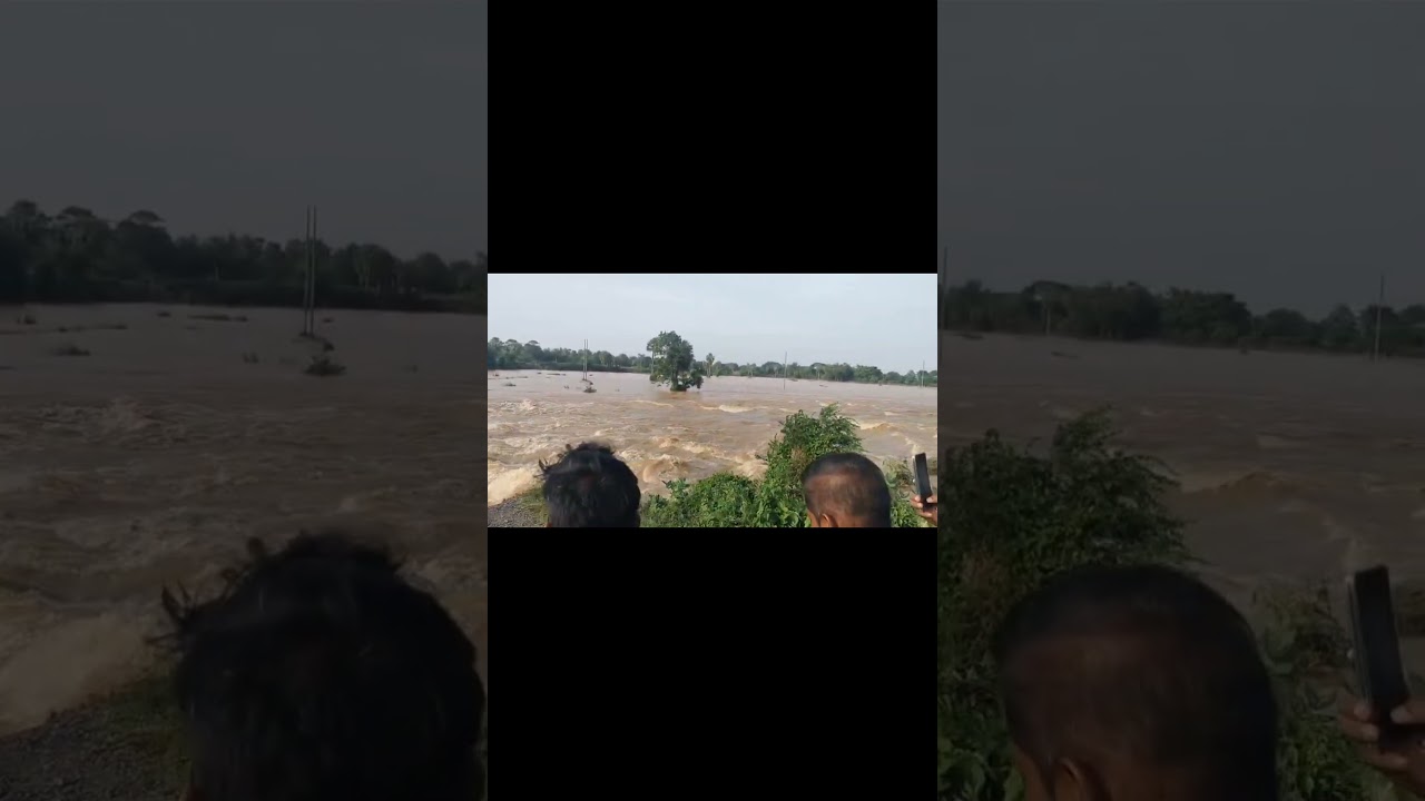 Baitarani nadi banya kharasrota nadi banya #baitaraniriver #flood