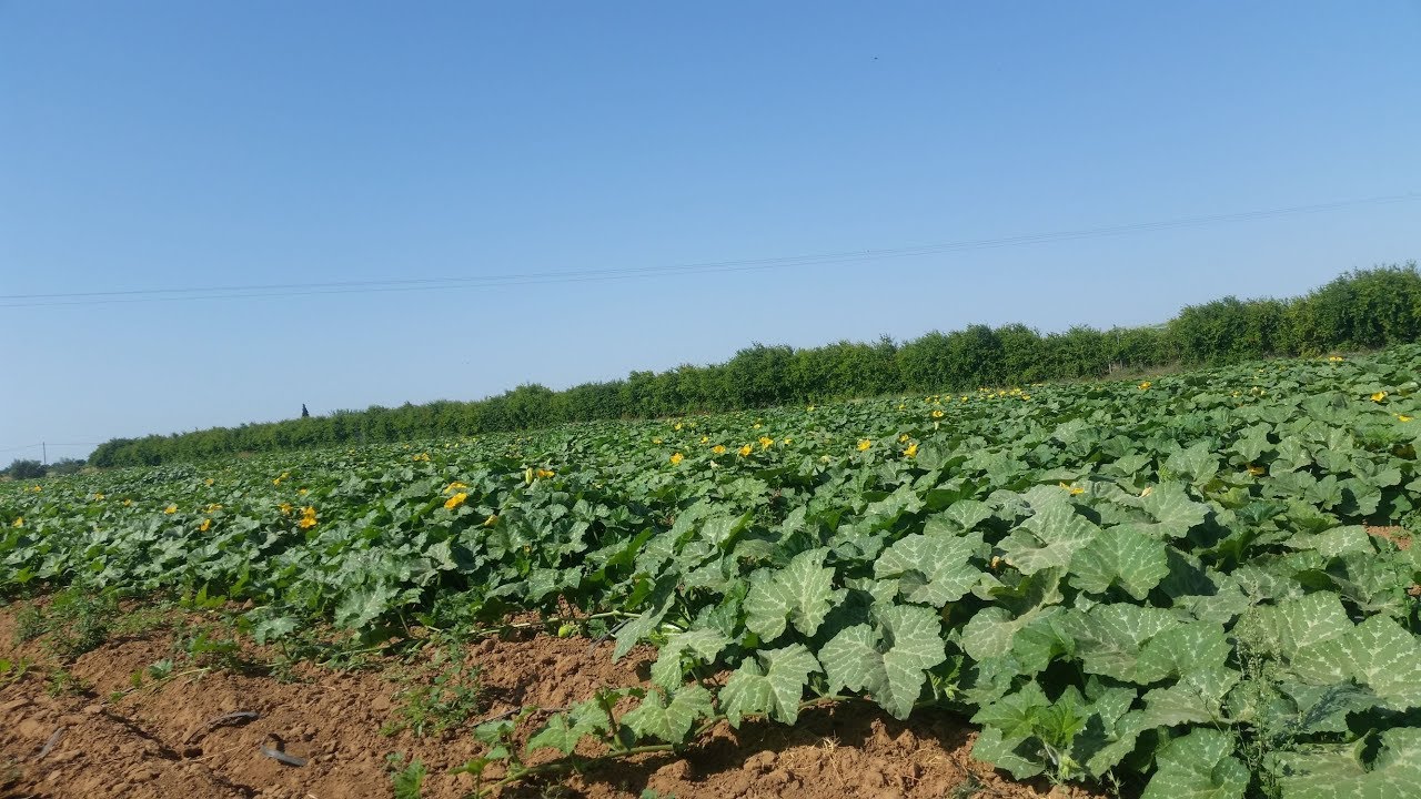 Voyage à tiflet مدينة تفليت