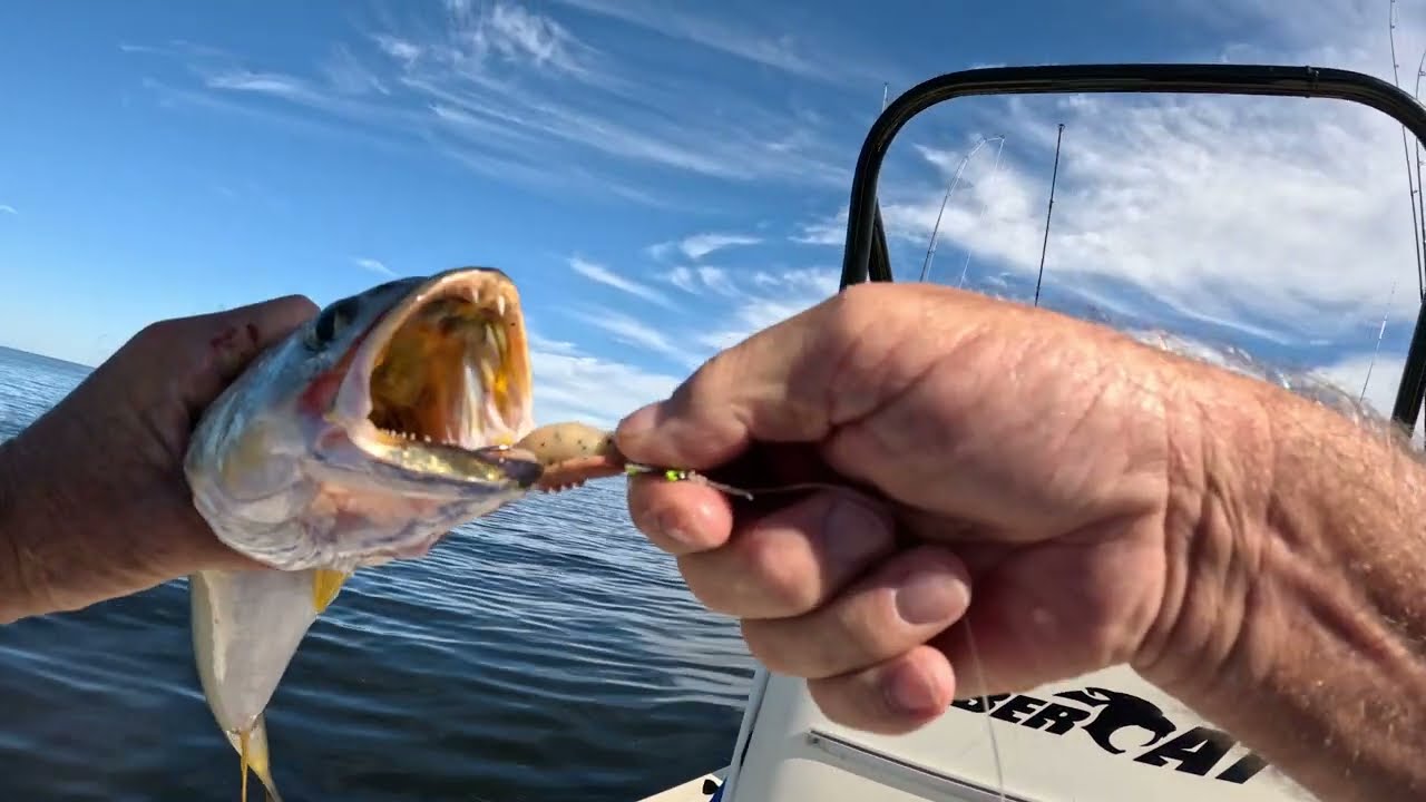 Experience the Thrill Trout Fishing in Panacea Florida!
