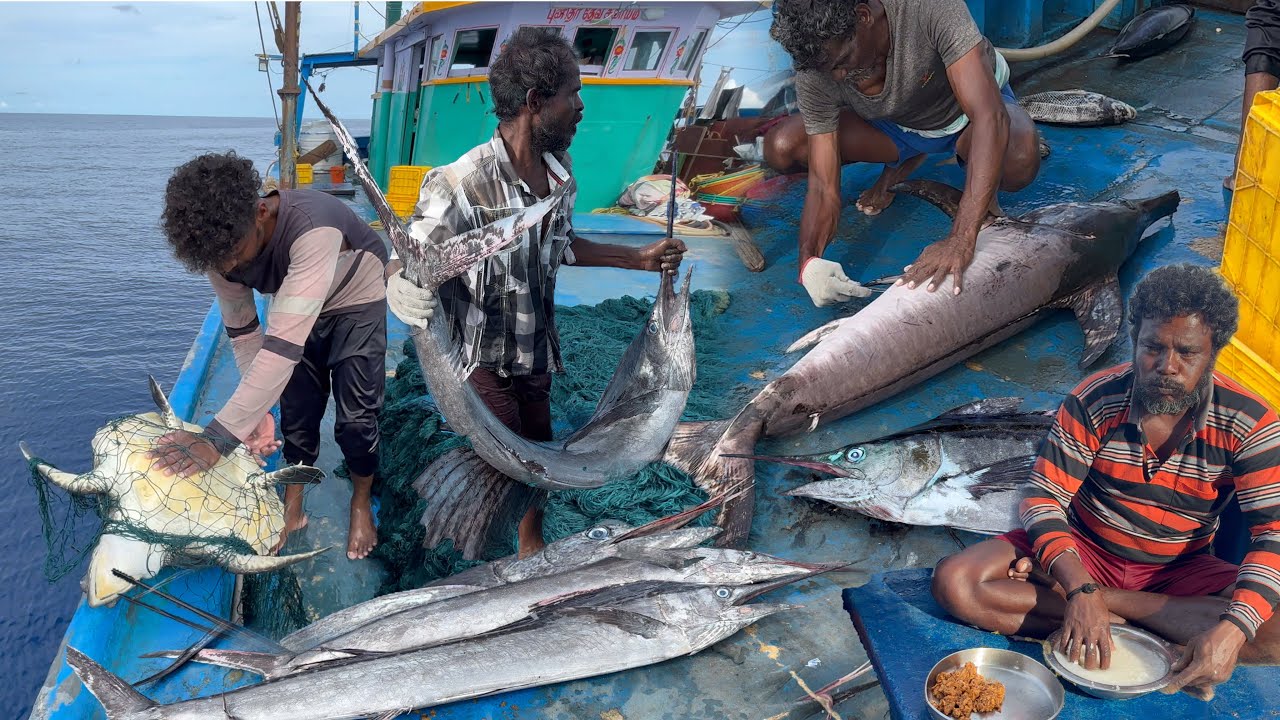 WOW‼️ The Nineteen Day We Stay In The Deep Sea 🤩 Fishermen Rescue Sea Turtle from Net