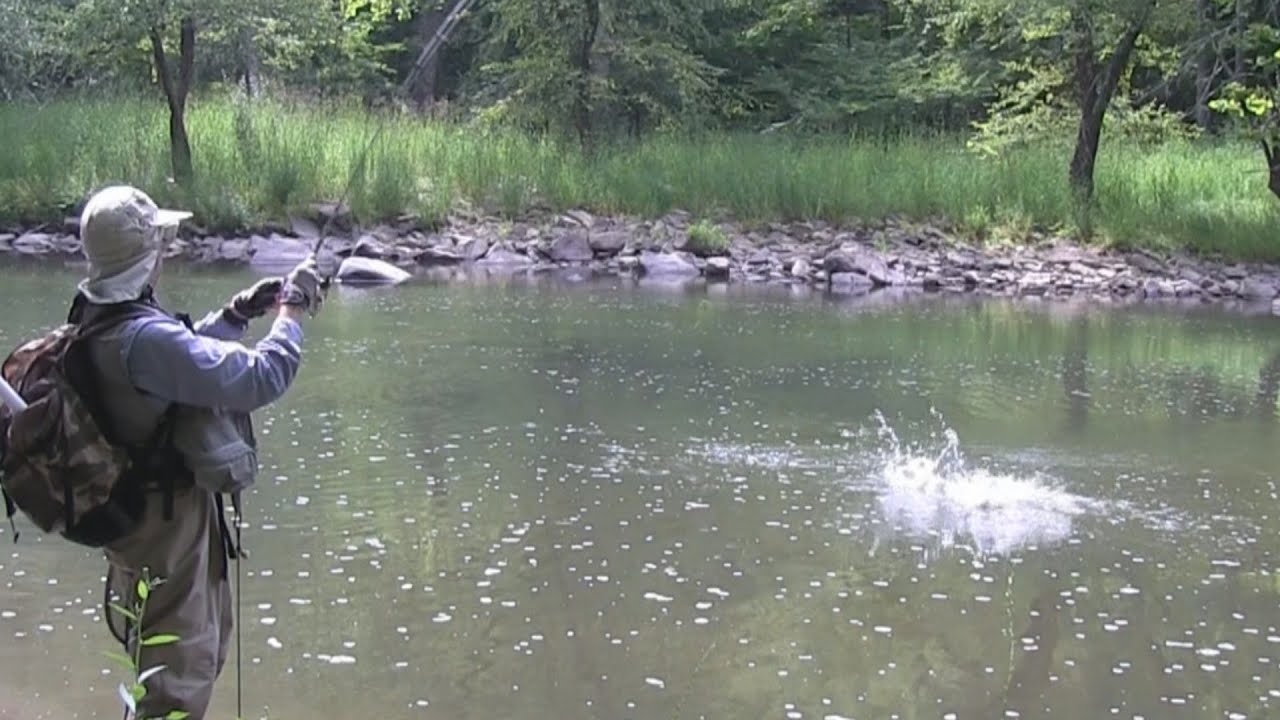 Fishing the Bluestone River, WV: Smallmouth Bass