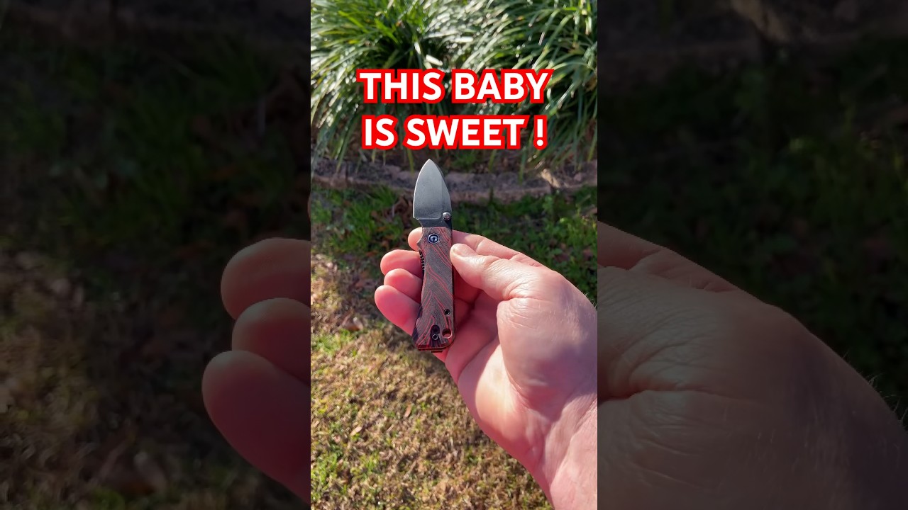 A MUST-HAVE EDC KNIFE FROM CIVIVI 🔥⚔️🔥 The Baby Banter &hellip; #youtubeshorts #knife #edc