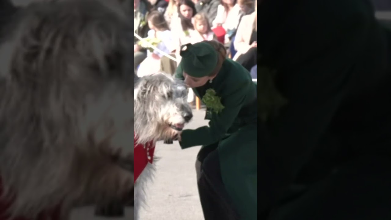 Kate presents shamrock to the Irish Wolf Hound regimental mascot