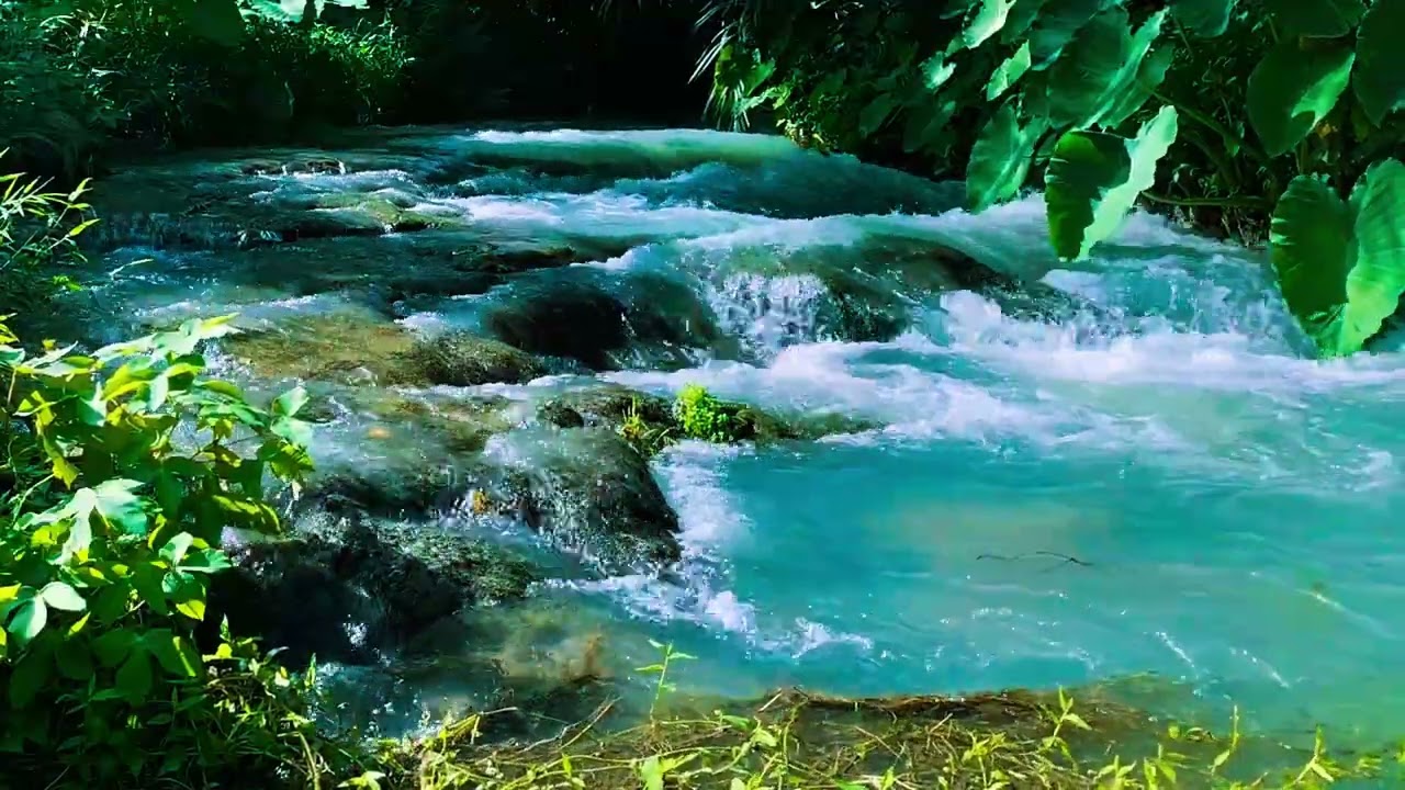 8 Hours of River Sounds 🌊 Deep Sleep, Study & Relaxation - 2K HDR 60FPS