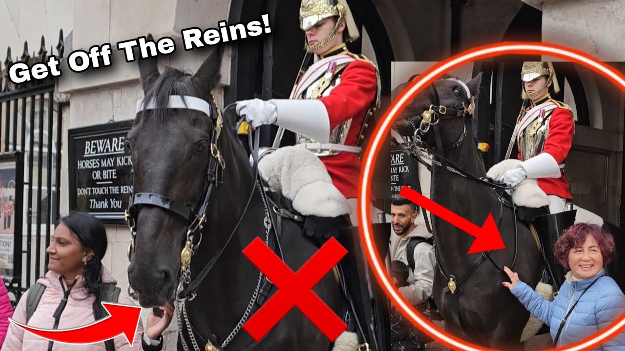 King's Guard Does This as Disrespectful Woman Grabs The Reins!